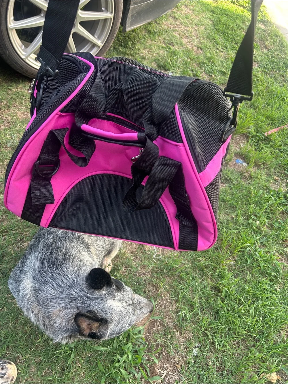 Versatile Pink Small Pet Carrier Bag with Padded Strap